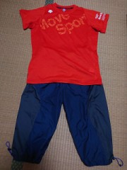 【お題日記】SNSのコメント気にする？