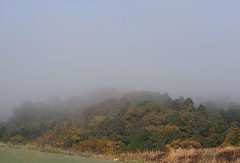 【お題日記】この人には逆らえないって人いる？