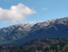 【お題日記】似てる芸能人