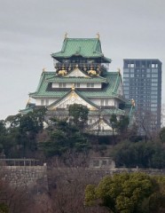 【お題日記】好きな番組のジャンル
