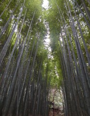 【お題日記】こんなフェチ画像が好き