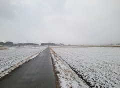 【お題日記】最近やっちゃった失敗談