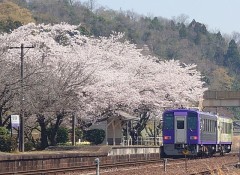 【お題日記】気持ちよくなかったと言われたことある？