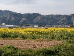 【お題日記】ここはあまり触らないでほしい