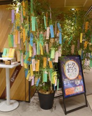 【お題日記】令和5年の七夕は何を願う？