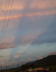 【お題日記】相手は料理できるほうが良い？