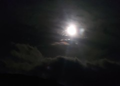 【お題日記】授業中ムラムラした経験は？