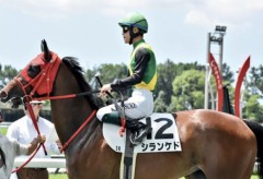 【お題日記】ラブホを予約したことある？