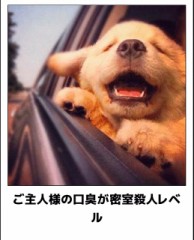 【お題日記】最中に口臭気になったことある？