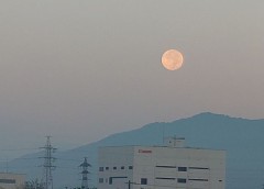 【お題日記】誕生日にプレゼントしたHなグッズ