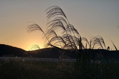 【お題日記】運良すぎたと思った出来事