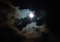 【お題日記】病気になったことある？