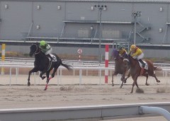 【お題日記】最中に出ちゃう方言は燃える？