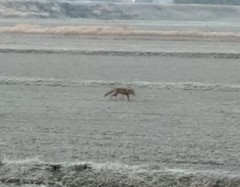 【お題日記】家族の電話番号覚えてる？