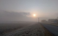 【お題日記】健康のために摂っているいるもの