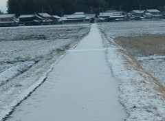 【お題日記】今までで一番よかったあのH