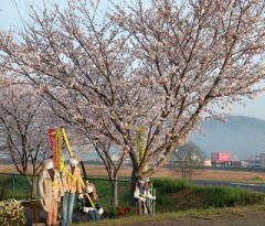 【お題日記】トイレットペーパー買う時の基準