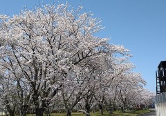 【お題日記】家で1番ホッとできる場所は？
