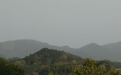 【お題日記】動画配信した経験