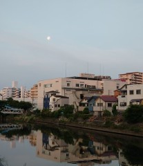 【お題日記】入念にしてもらいたいこと