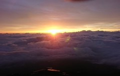 【お題日記】今年の夏はこんなことしたい