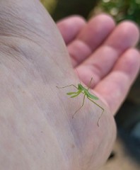 【お題日記】8インチCDまだ何か持ってる？