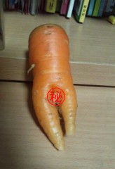 【お題日記】こんなエロい写真撮りました