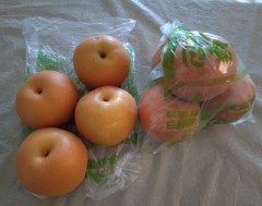 【お題日記】爪を切る頻度はどれくらい？