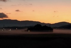 【お題日記】見た目はタイプなのに萌えなかった経験