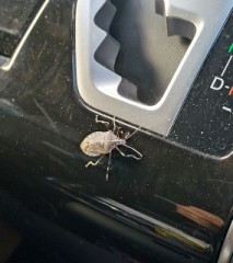 【お題日記】今年も残り1ヶ月、これからの計画