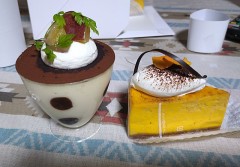 【お題日記】野良猫や野良犬見かける？