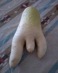 【お題日記】イブの夜、忘れられない情熱的な思い出は？