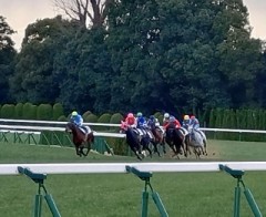 【お題日記】バレンタイン告白経験ある？