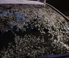 【お題日記】たまには強引にされたい？