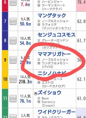 【お題日記】神頼みしたことは？