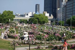 【お題日記】興味本位で入れてみちゃったもの