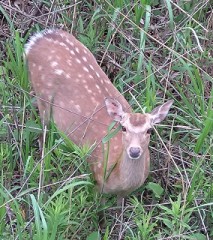 【お題日記】これは読んでおくべきと思う本