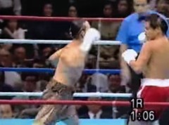 【お題日記】猫パンチくらった事ある？