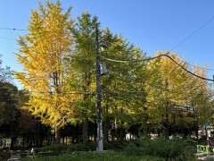 おはようございます