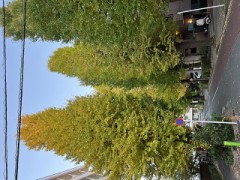 おはようございます