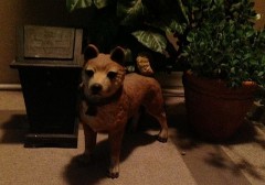 一週間位海外出張に行ってました