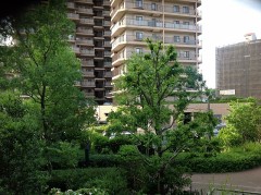 会社の近くにスイーツのお店があって