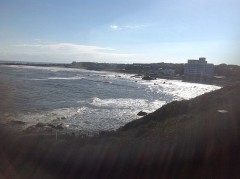 ショウジョウジ