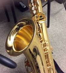 レオンちゃんの趣味その1   サックス