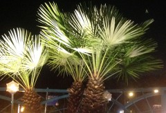 好きなことじゃないと続かないと思うわ