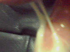 メール調教で　トイレでオナニー