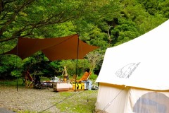 綺麗なほうが