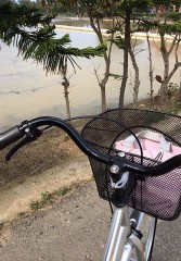 お星様キラキラ