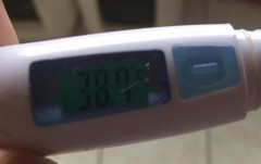 真面目に膣の話