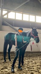 お馬パッカパッカ
